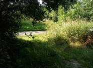 Immobilier Boulay Moselle