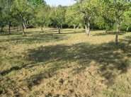 Terrain Vezelise